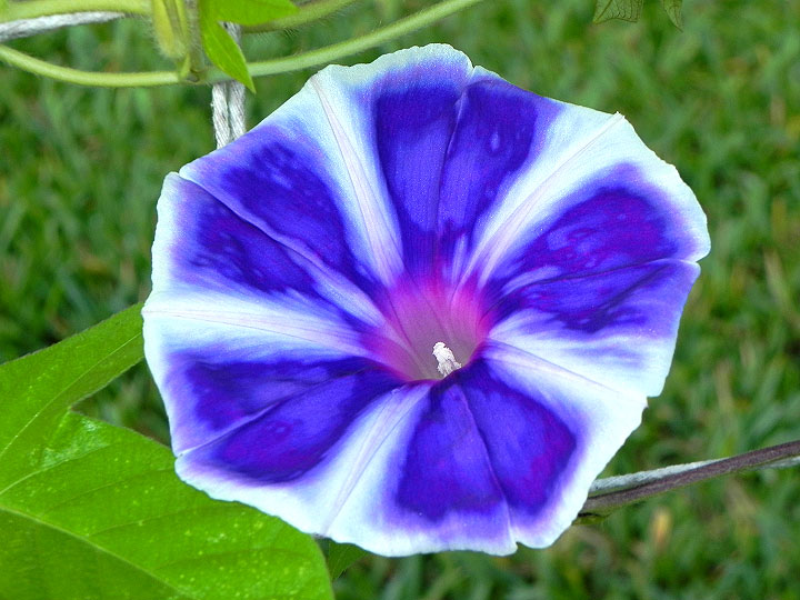 3DSCN0766
