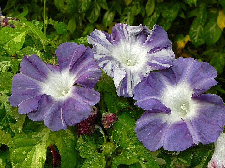 3DSCN1171