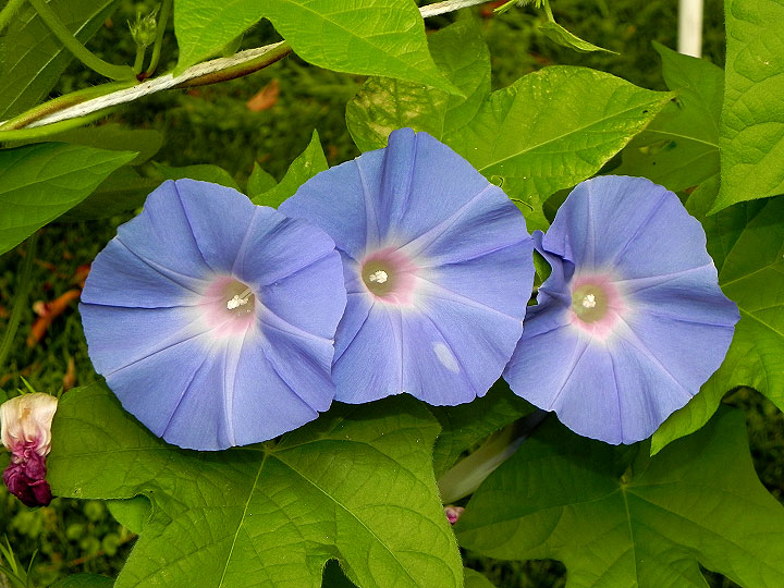 3DSCN1182