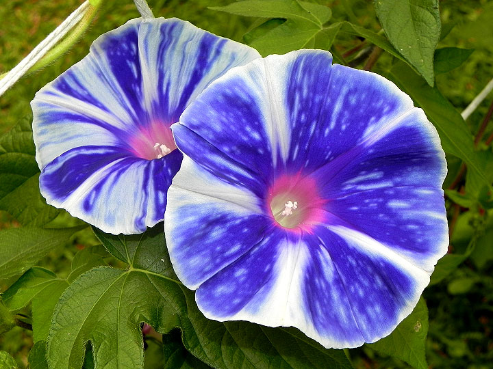 3DSCN1192