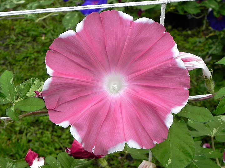 3DSCN2289