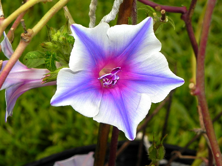 3DSCN3106