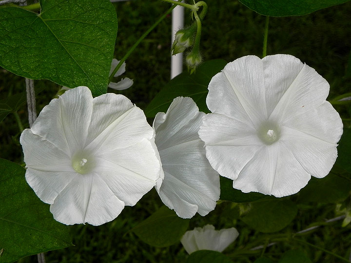 3DSCN3295