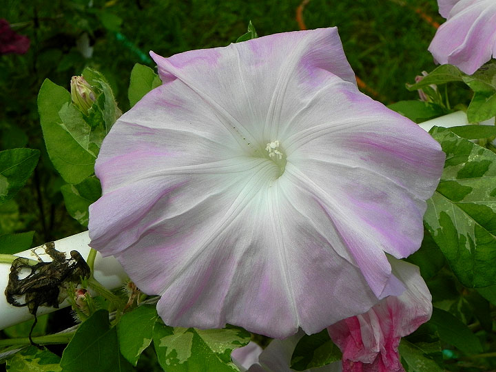 3DSCN4291_01