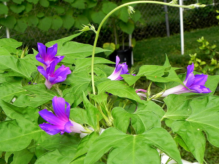 3DSCN5123_01