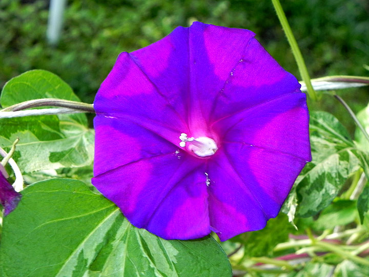 3DSCN5827
