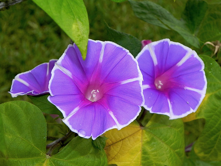 3DSCN7859