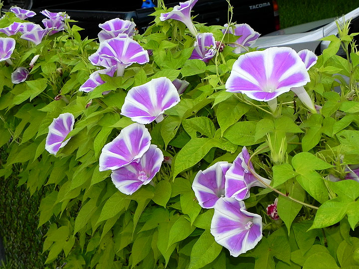 3DSCN8792