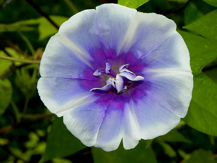 3DSCN9787