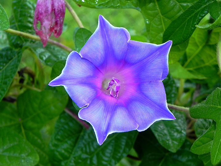 4DSCN0236