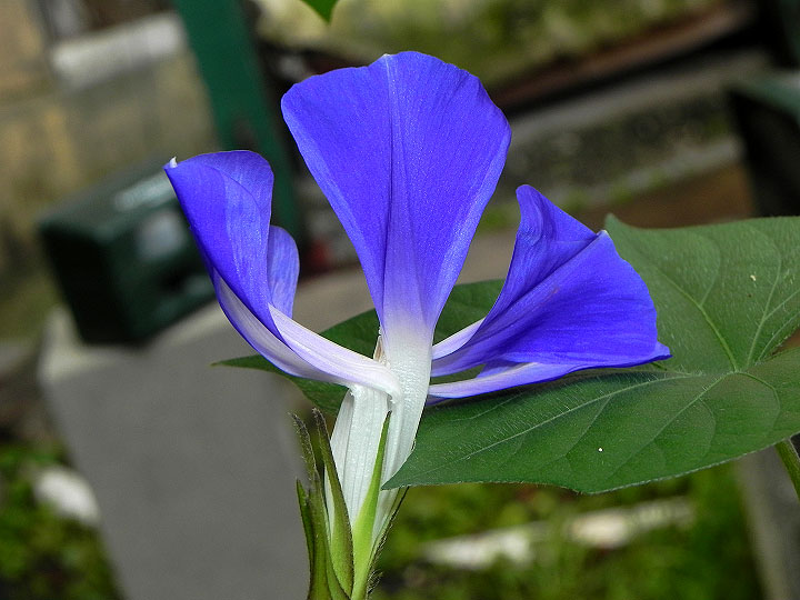 4DSCN0365