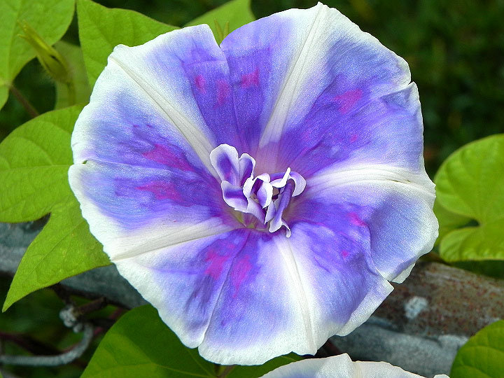 4DSCN0425