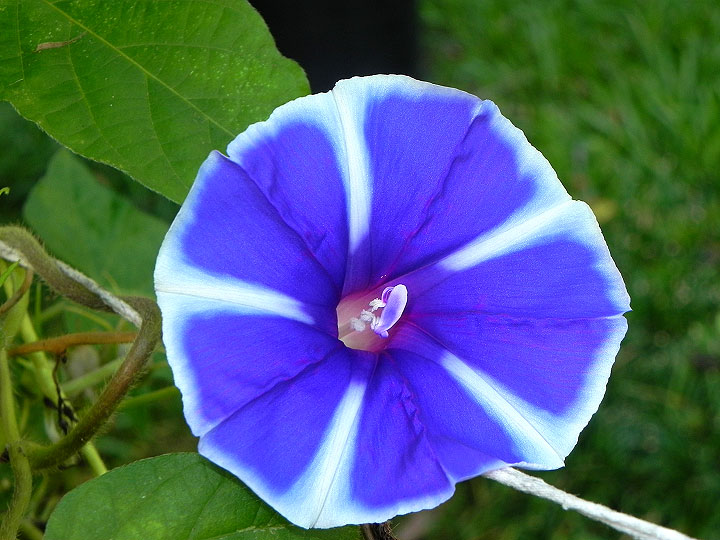 4DSCN0541