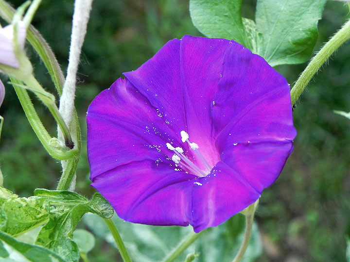 4DSCN0669