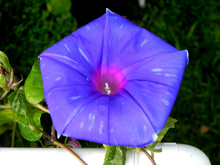 4DSCN0814