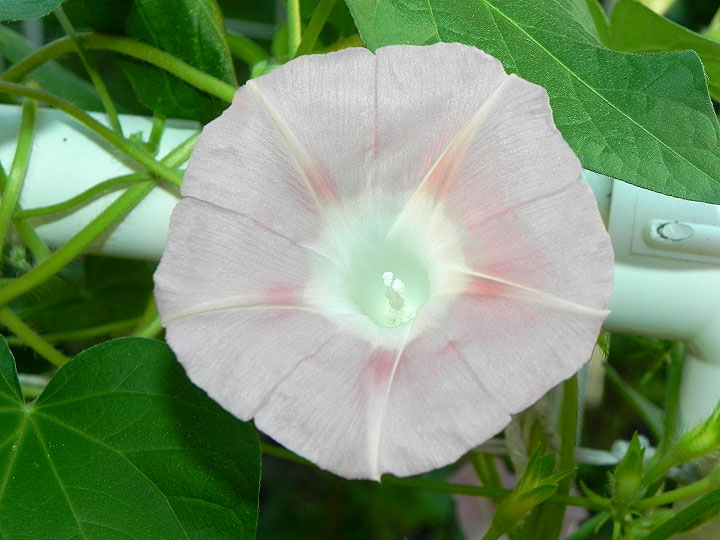 4DSCN0837