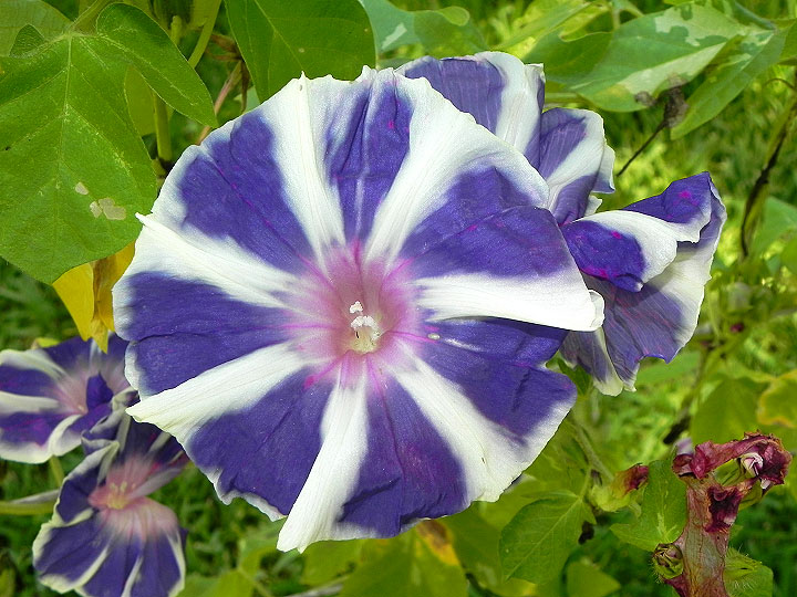 4DSCN0874