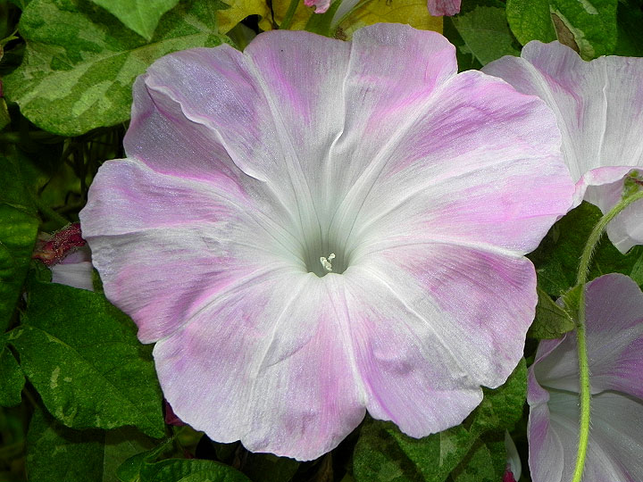 4DSCN0967