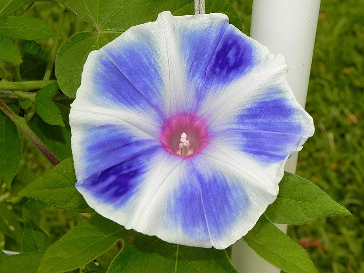 4DSCN1032