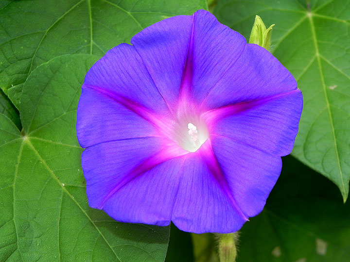 4DSCN1122