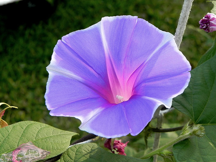 4DSCN1353