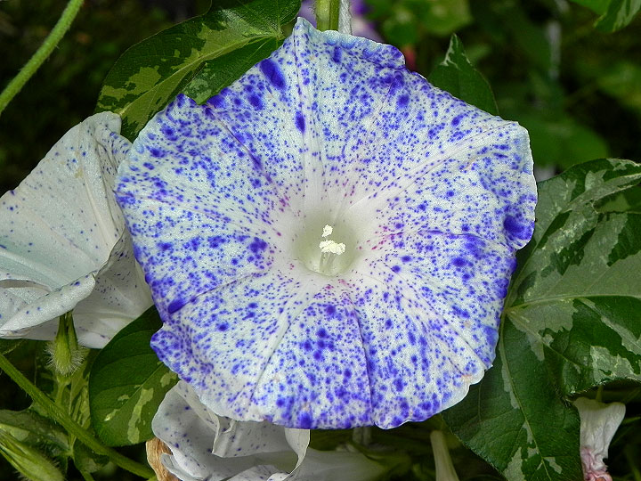 4DSCN1449_01