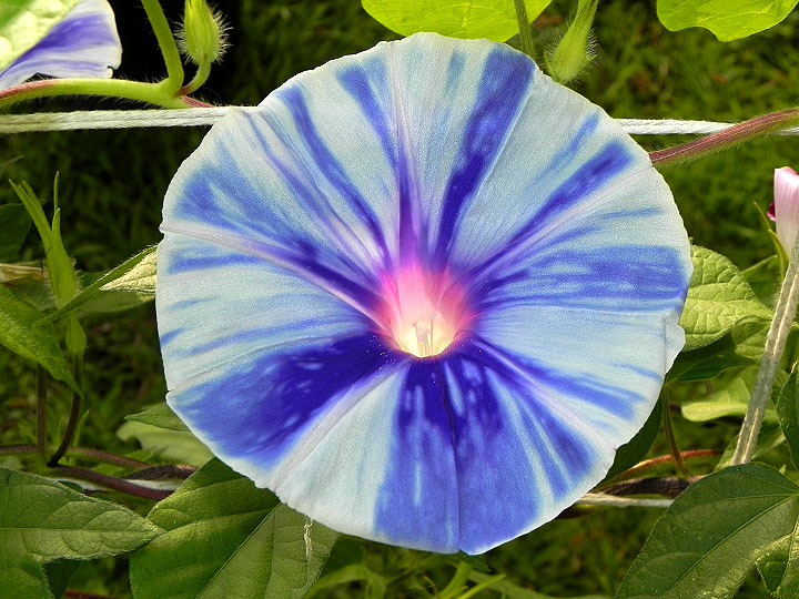 4DSCN1481