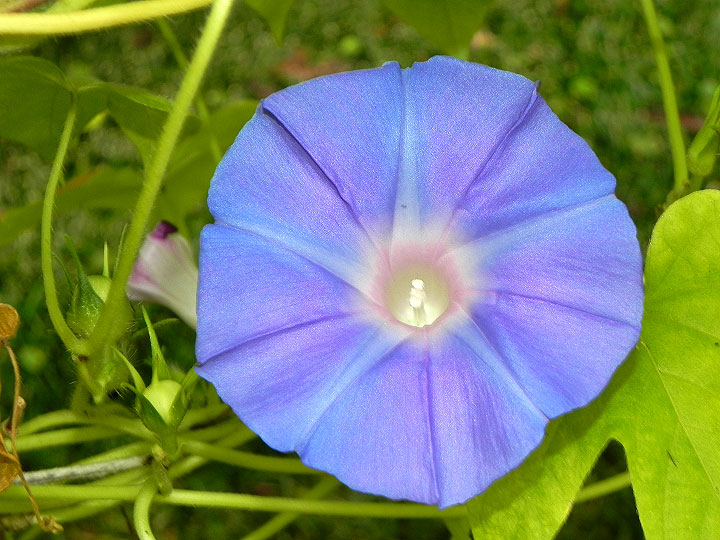 4DSCN2378