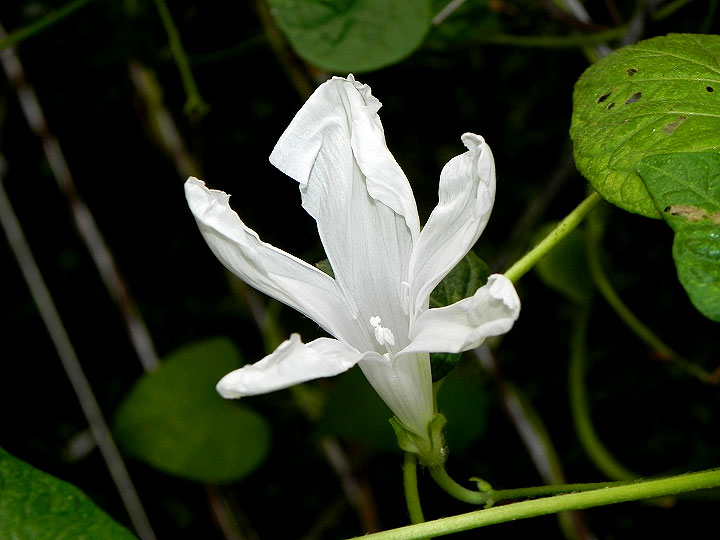 4DSCN3154