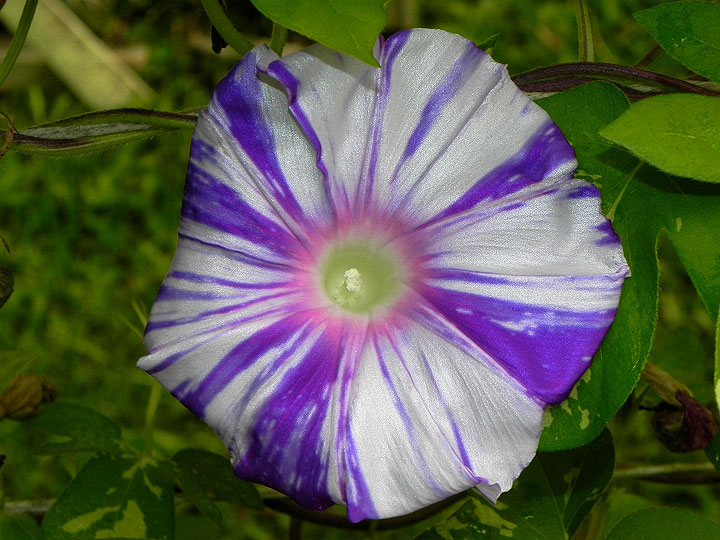 4DSCN4814_01