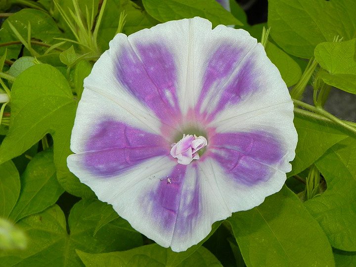 4DSCN8553