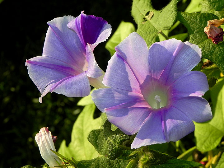 4DSCN9175