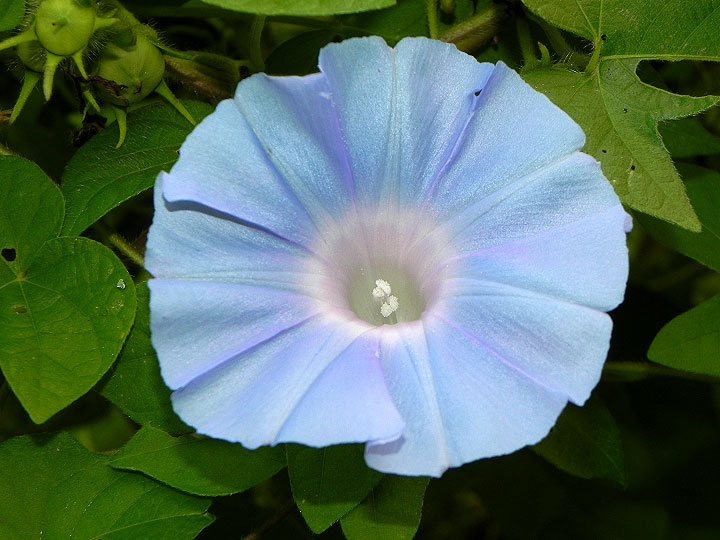 5DSCN0517