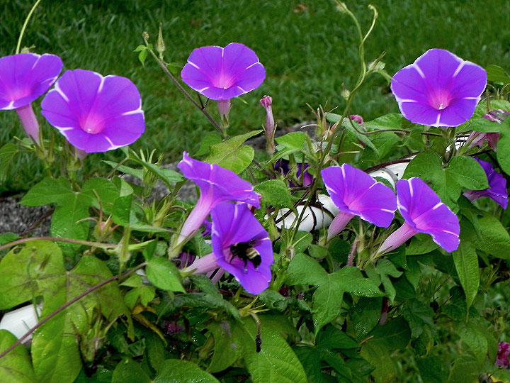 5DSCN1304
