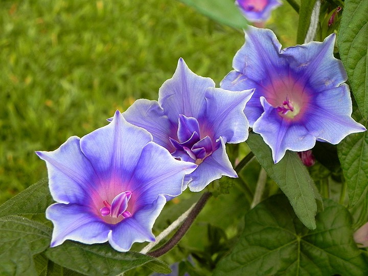 5DSCN2179