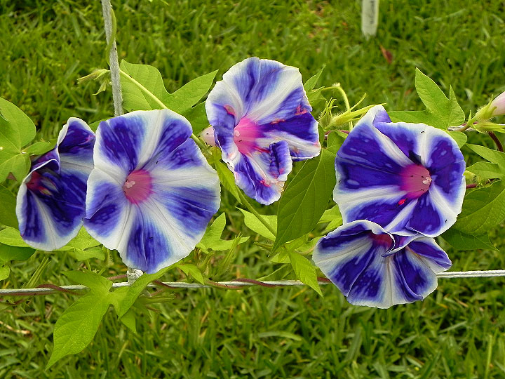 5DSCN2238