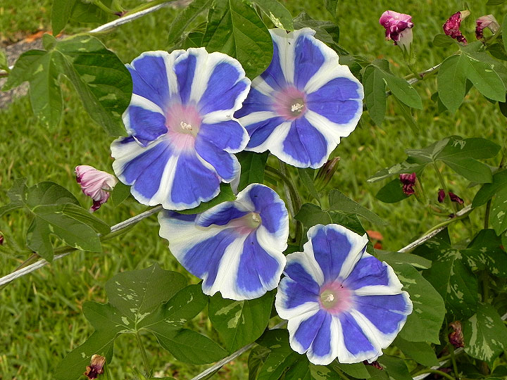 5DSCN2245