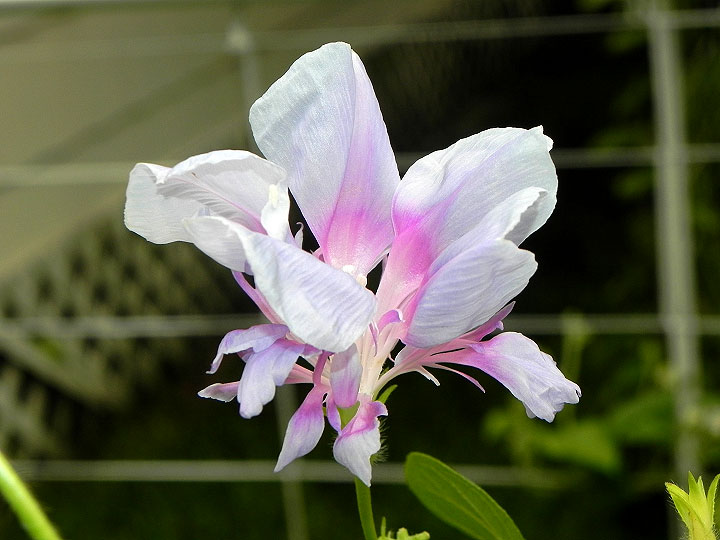 5DSCN2682