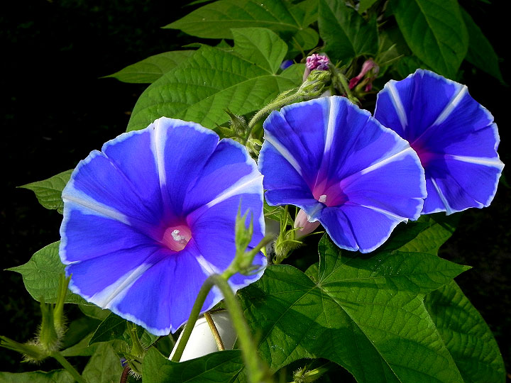 5DSCN3377