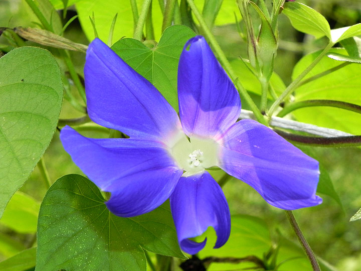 5DSCN4629_01