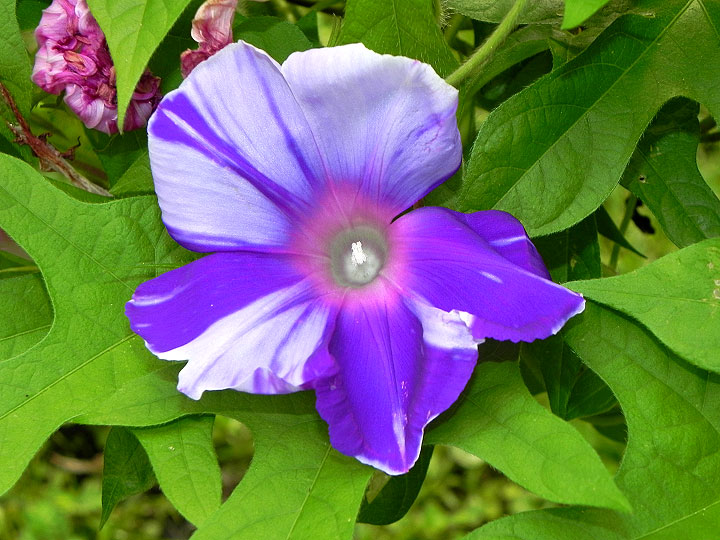 5DSCN4631_01