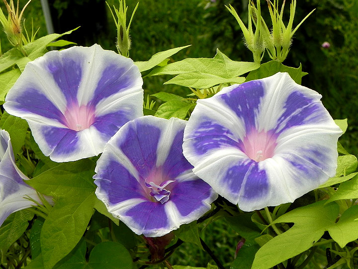 5DSCN5172