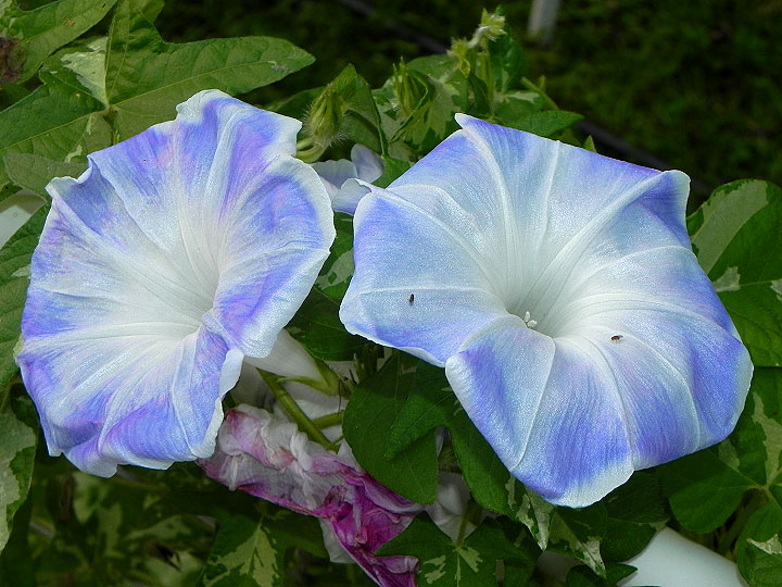 5DSCN9127