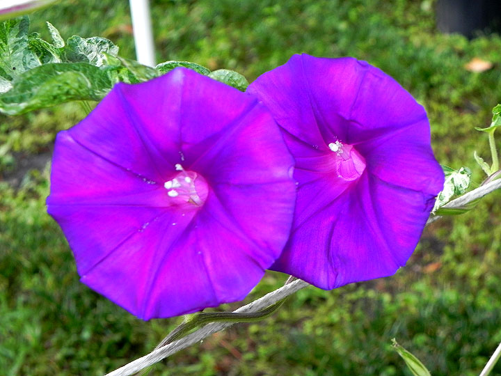 5DSCN9889