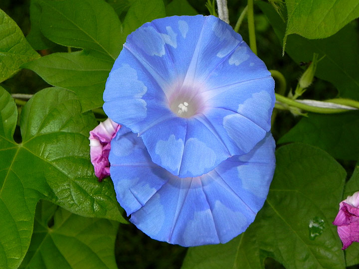 6DSCN0868