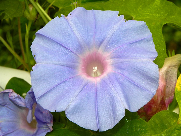 6DSCN1353