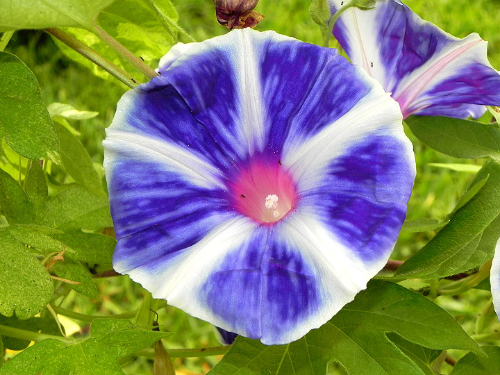 6DSCN1901