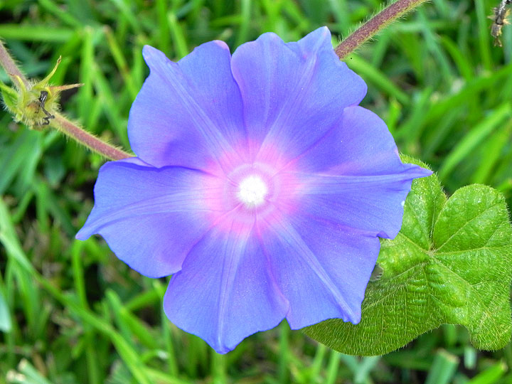 6DSCN3508