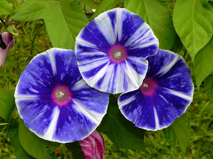 6DSCN3961_01