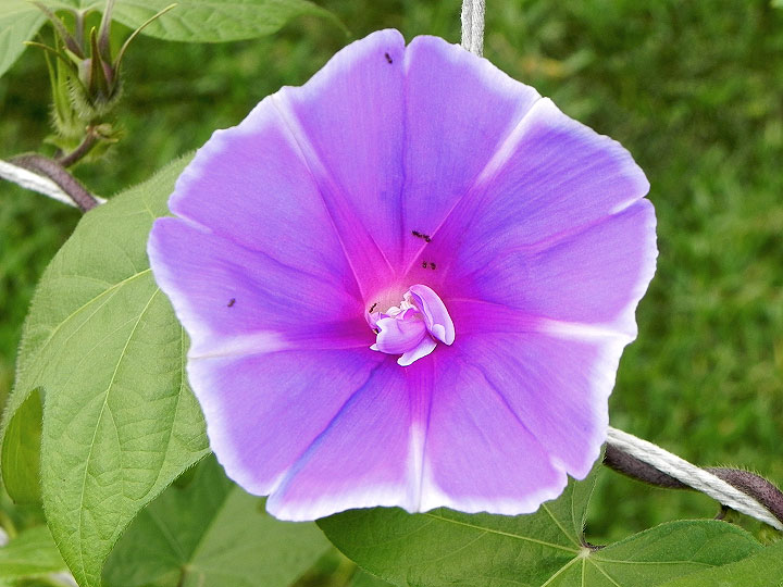 6DSCN5022